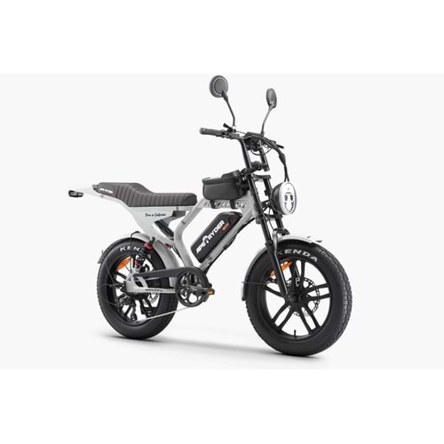 APE RYDER MANDRIL ELEKTRİKLİ BİSİKLET (GRİ)